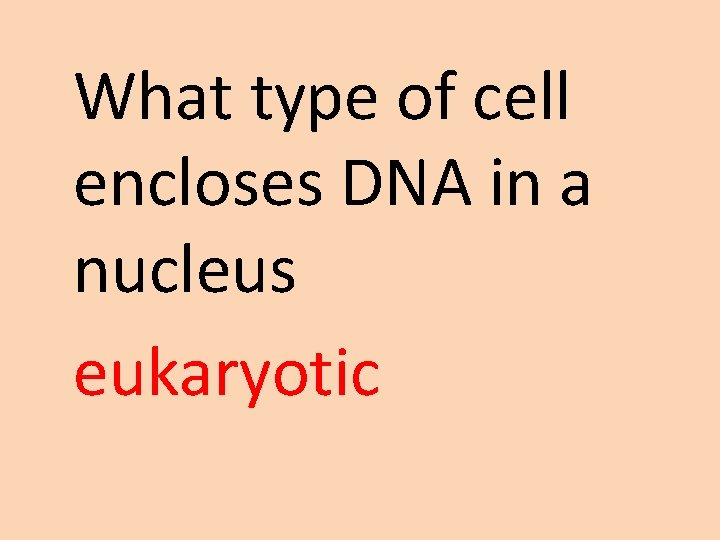 What type of cell encloses DNA in a nucleus eukaryotic 