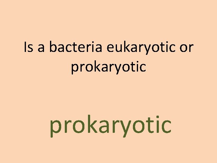Is a bacteria eukaryotic or prokaryotic 