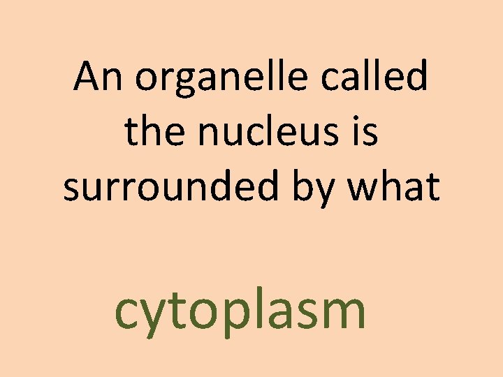 An organelle called the nucleus is surrounded by what cytoplasm 