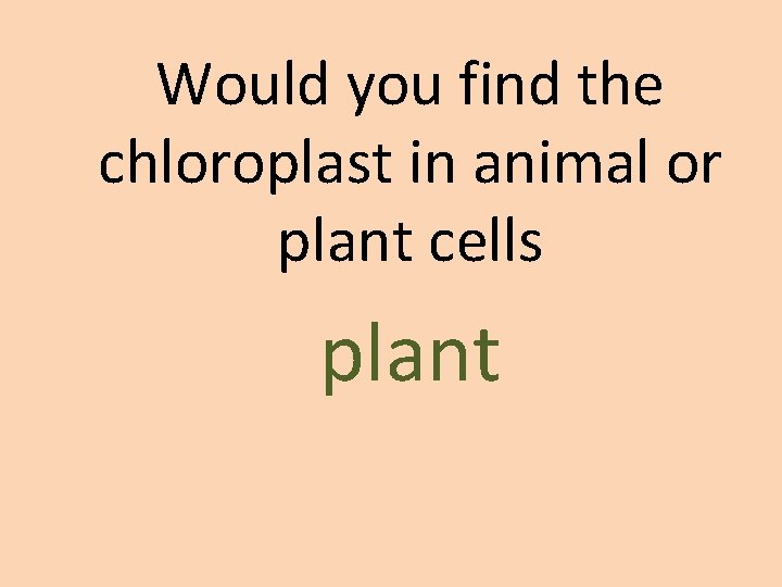 Would you find the chloroplast in animal or plant cells plant 