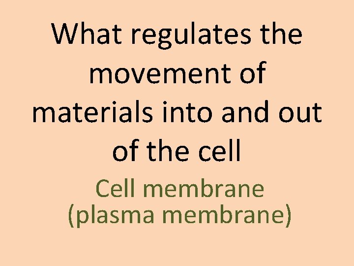 What regulates the movement of materials into and out of the cell Cell membrane