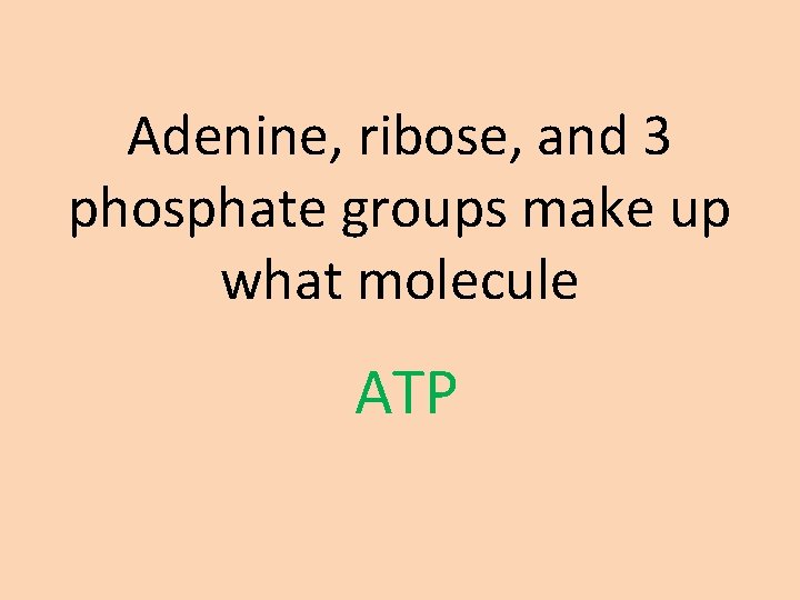 Adenine, ribose, and 3 phosphate groups make up what molecule ATP 
