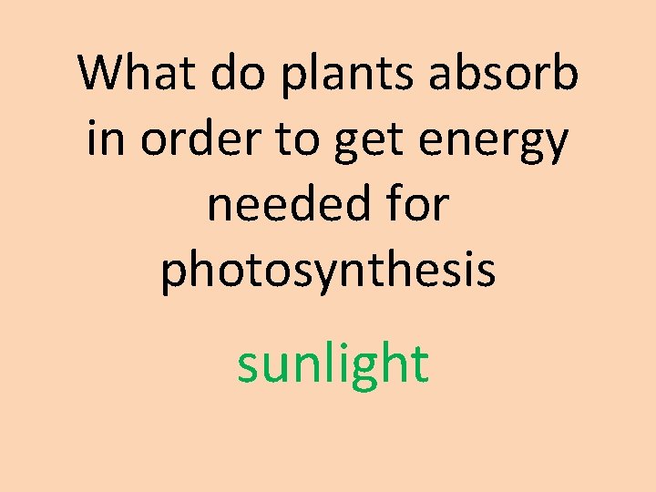 What do plants absorb in order to get energy needed for photosynthesis sunlight 