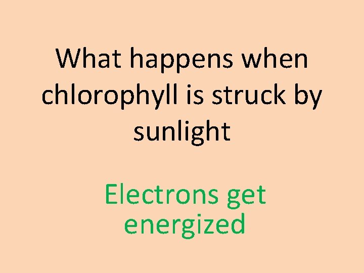 What happens when chlorophyll is struck by sunlight Electrons get energized 
