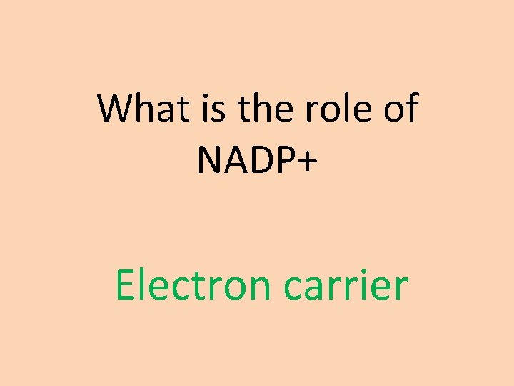What is the role of NADP+ Electron carrier 