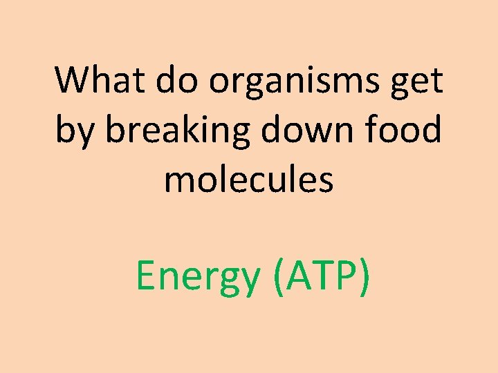What do organisms get by breaking down food molecules Energy (ATP) 