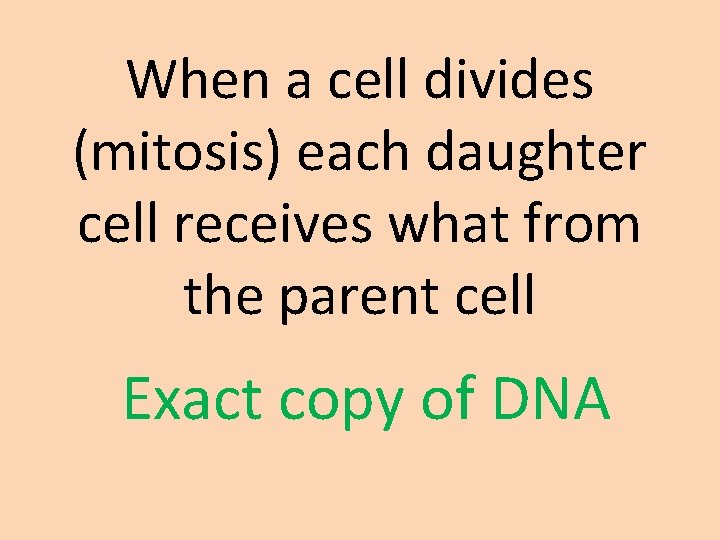 When a cell divides (mitosis) each daughter cell receives what from the parent cell