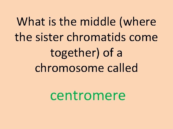 What is the middle (where the sister chromatids come together) of a chromosome called