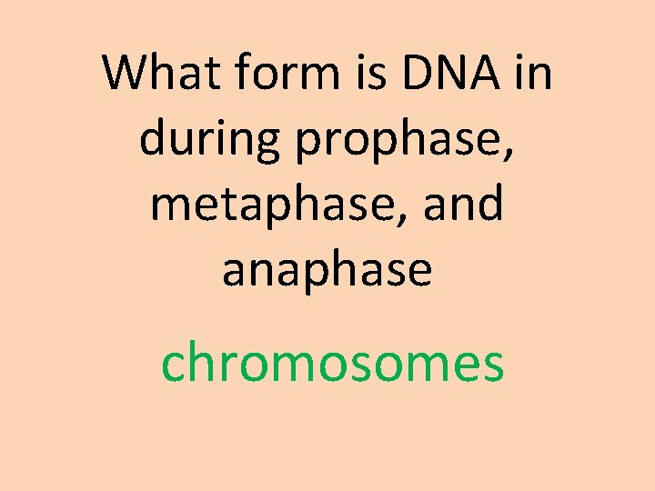 What form is DNA in during prophase, metaphase, and anaphase chromosomes 