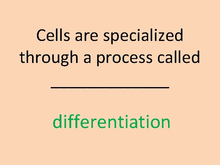 Cells are specialized through a process called _______ differentiation 