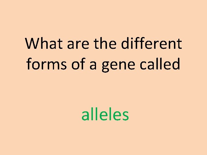 What are the different forms of a gene called alleles 