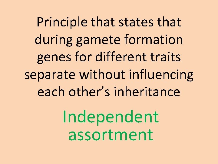 Principle that states that during gamete formation genes for different traits separate without influencing