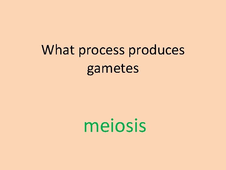What process produces gametes meiosis 