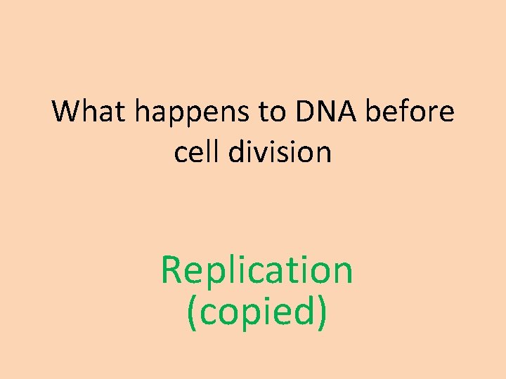 What happens to DNA before cell division Replication (copied) 