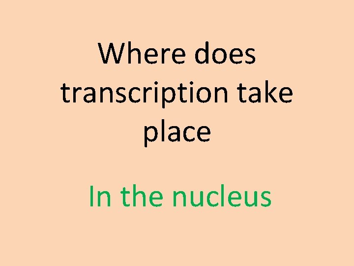 Where does transcription take place In the nucleus 