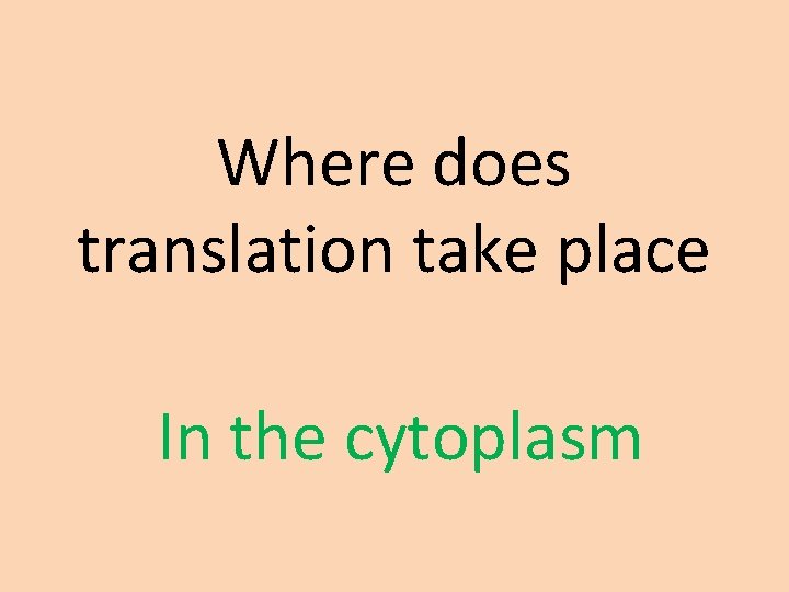 Where does translation take place In the cytoplasm 