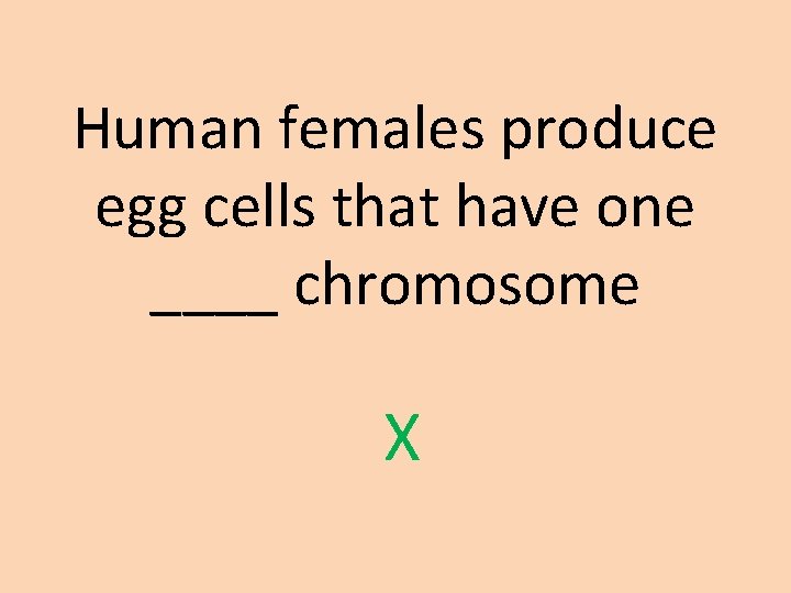 Human females produce egg cells that have one ____ chromosome X 