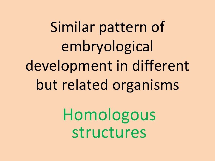 Similar pattern of embryological development in different but related organisms Homologous structures 