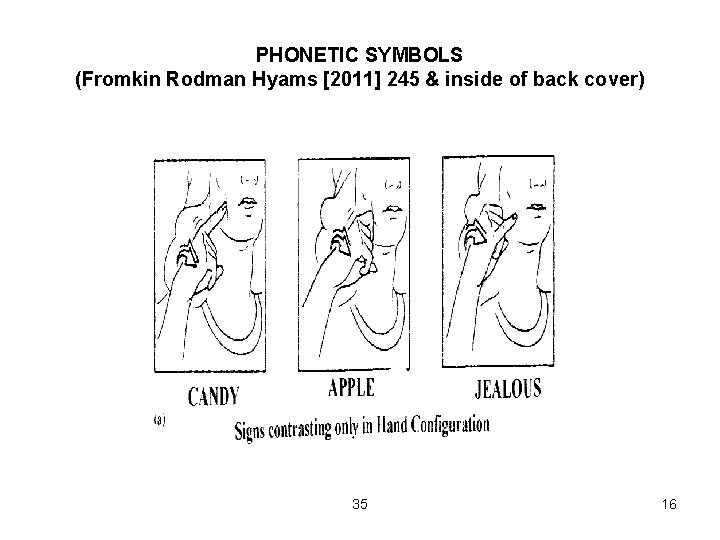 PHONETIC SYMBOLS (Fromkin Rodman Hyams [2011] 245 & inside of back cover) 35 16