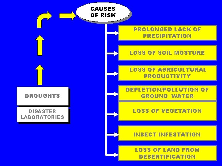 CAUSES OF RISK PROLONGED LACK OF PRECIPITATION LOSS OF SOIL MOSTURE LOSS OF AGRICULTURAL