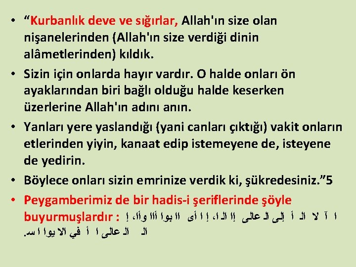  • “Kurbanlık deve ve sığırlar, Allah'ın size olan nişanelerinden (Allah'ın size verdiği dinin