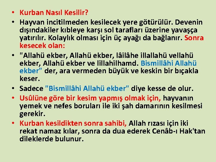  • Kurban Nasıl Kesilir? • Hayvan incitilmeden kesilecek yere götürülür. Devenin dışındakiler kıbleye