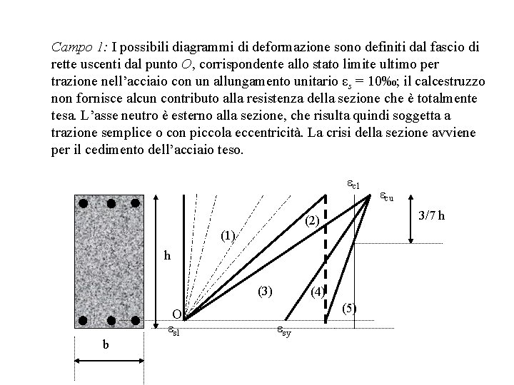 Campo 1: I possibili diagrammi di deformazione sono definiti dal fascio di rette uscenti