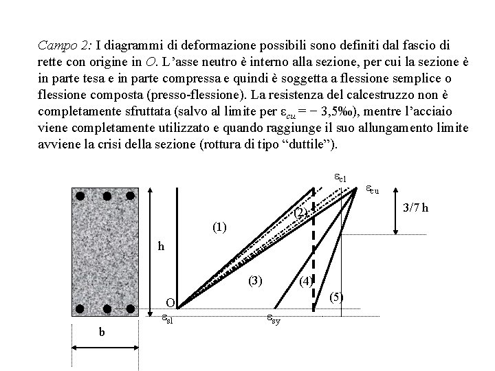 Campo 2: I diagrammi di deformazione possibili sono definiti dal fascio di rette con