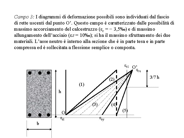 Campo 3: I diagrammi di deformazione possibili sono individuati dal fascio di rette uscenti