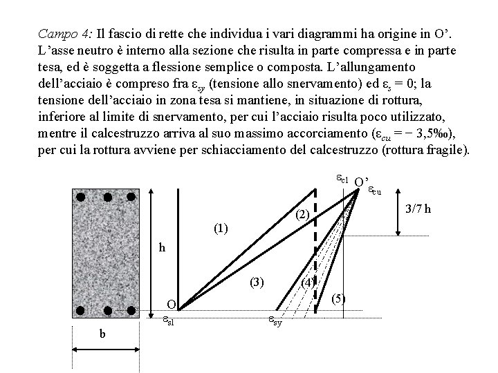 Campo 4: Il fascio di rette che individua i vari diagrammi ha origine in