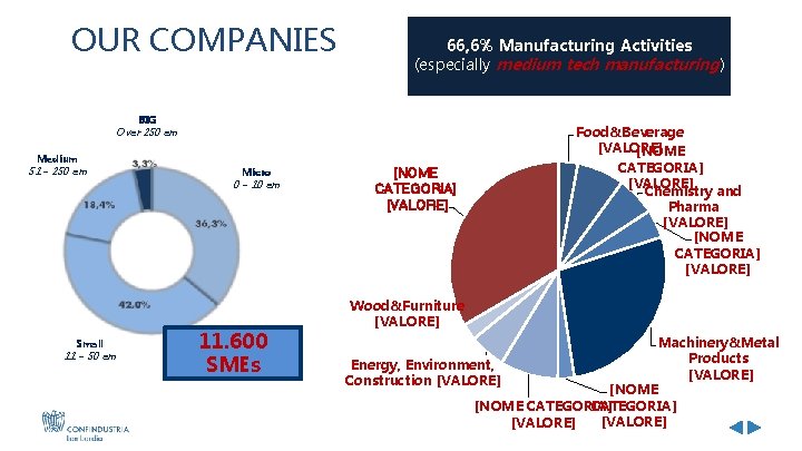 OUR COMPANIES 66, 6% Manufacturing Activities (especially medium tech manufacturing) BIG Over 250 em