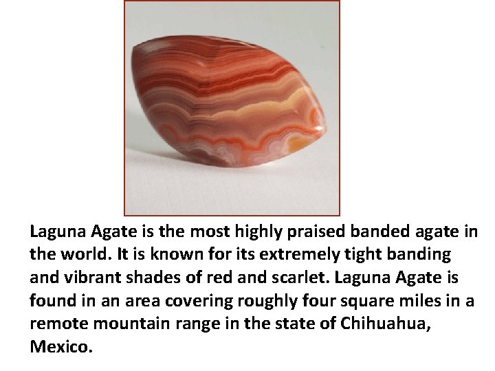Laguna Agate is the most highly praised banded agate in the world. It is Laguna Agate is the most highly praised banded agate in the world. It is