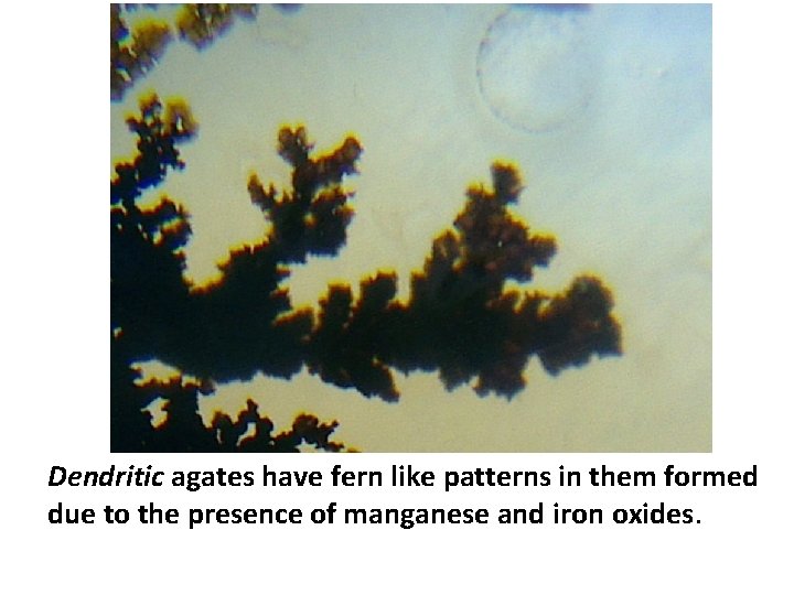 Dendritic agates have fern like patterns in them formed due to the presence of