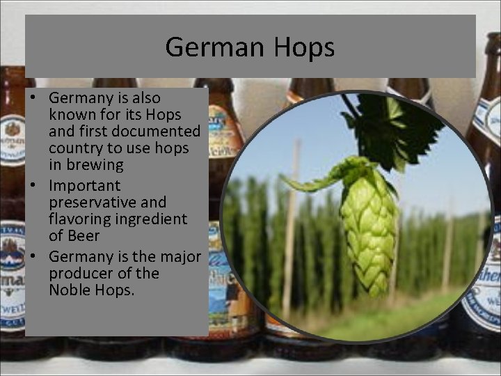 German Hops • Germany is also known for its Hops and first documented country