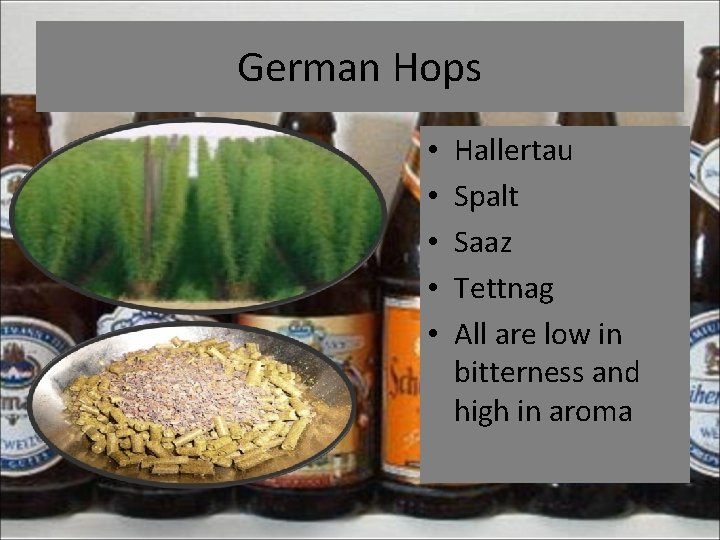 German Hops • • • Hallertau Spalt Saaz Tettnag All are low in bitterness