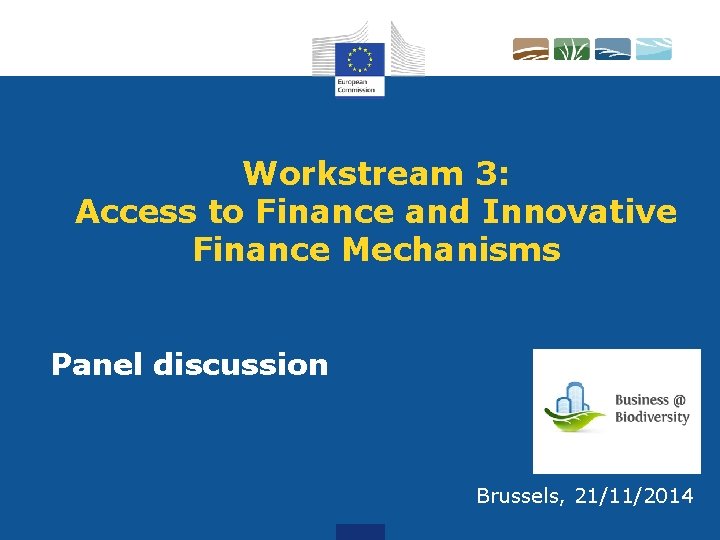 Workstream 3: Access to Finance and Innovative Finance Mechanisms Panel discussion Brussels, 21/11/2014 