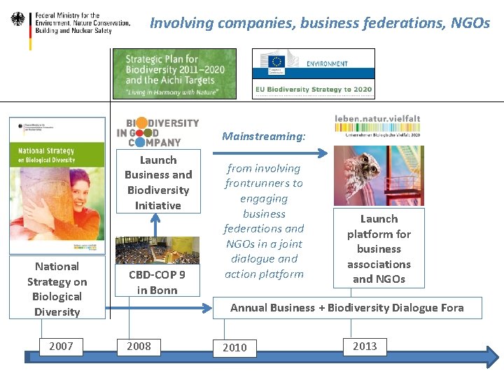 Involving companies, business federations, NGOs Mainstreaming: Launch Business and Biodiversity Initiative National Strategy on