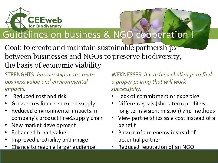 Guidelines on business & NGO cooperation I Goal: to create and maintain sustainable partnerships