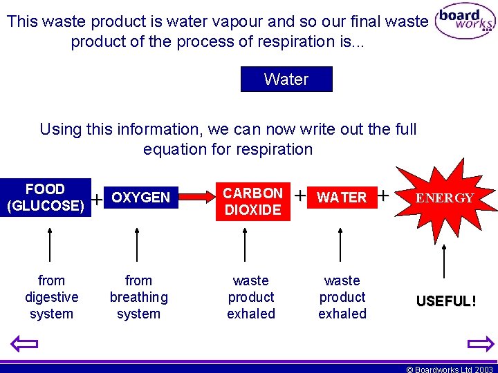 This waste product is water vapour and so our final waste product of the