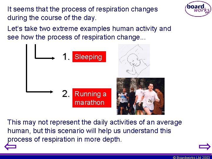 It seems that the process of respiration changes during the course of the day.