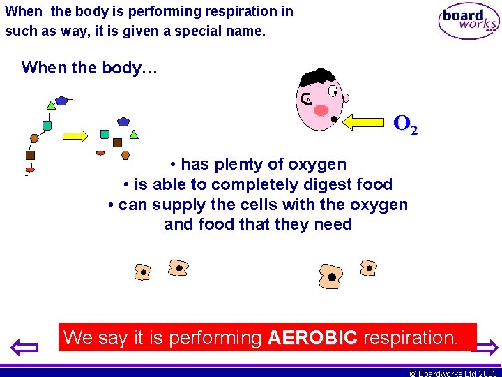 When the body is performing respiration in such as way, it is given a