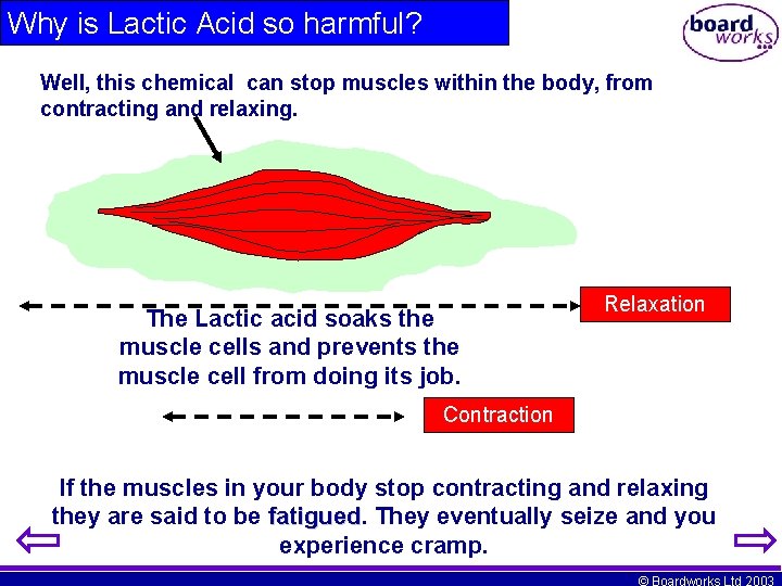 Why is Lactic Acid so harmful? Well, this chemical can stop muscles within the