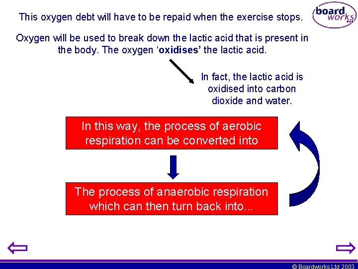 This oxygen debt will have to be repaid when the exercise stops. Oxygen will