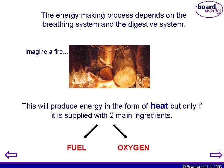 The energy making process depends on the breathing system and the digestive system. Imagine