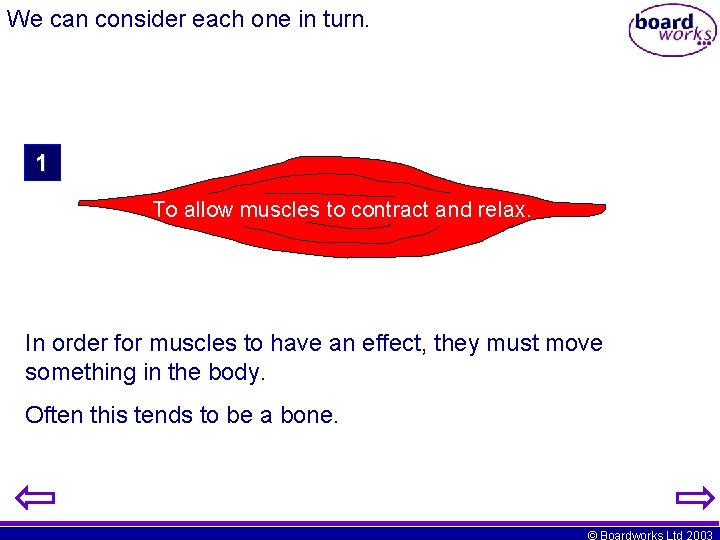 We can consider each one in turn. 1 To allow muscles to contract and