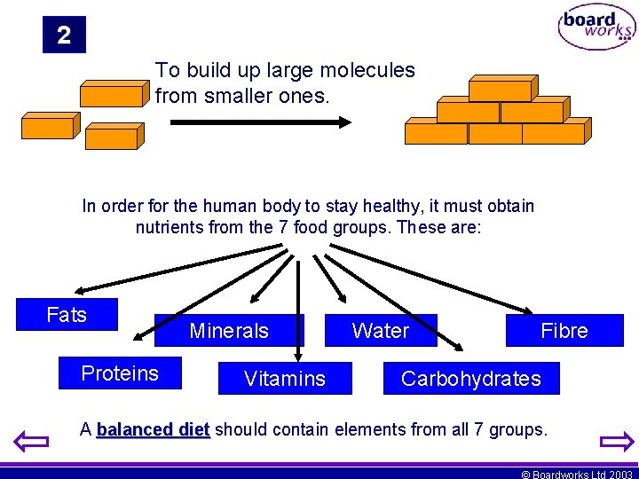 2 To build up large molecules from smaller ones. In order for the human