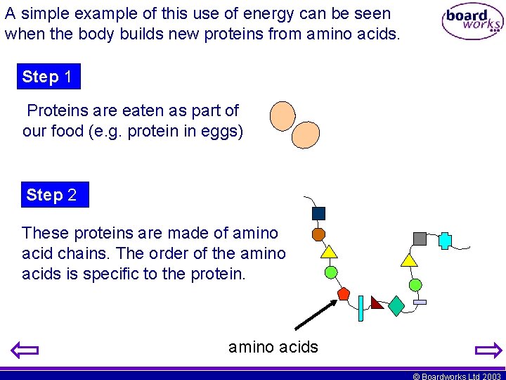 A simple example of this use of energy can be seen when the body