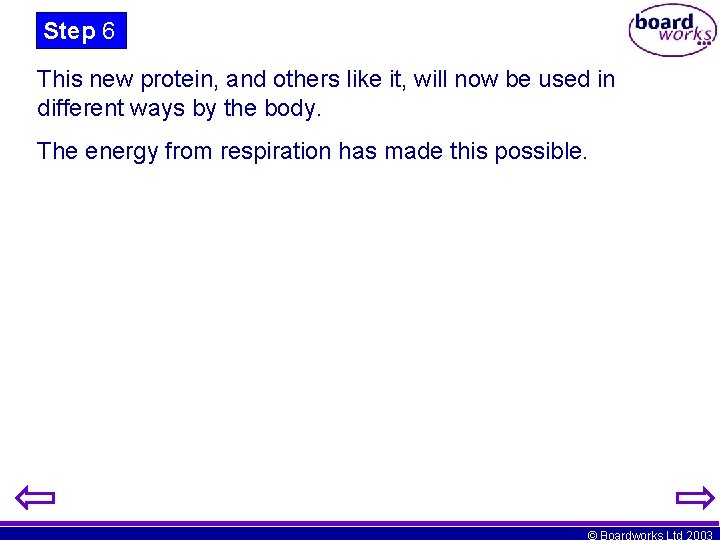 Step 6 This new protein, and others like it, will now be used in