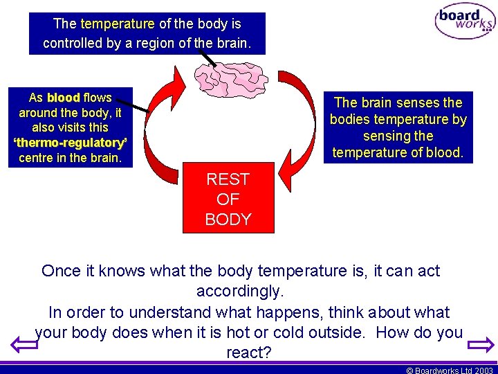The temperature of the body is controlled by a region of the brain. As