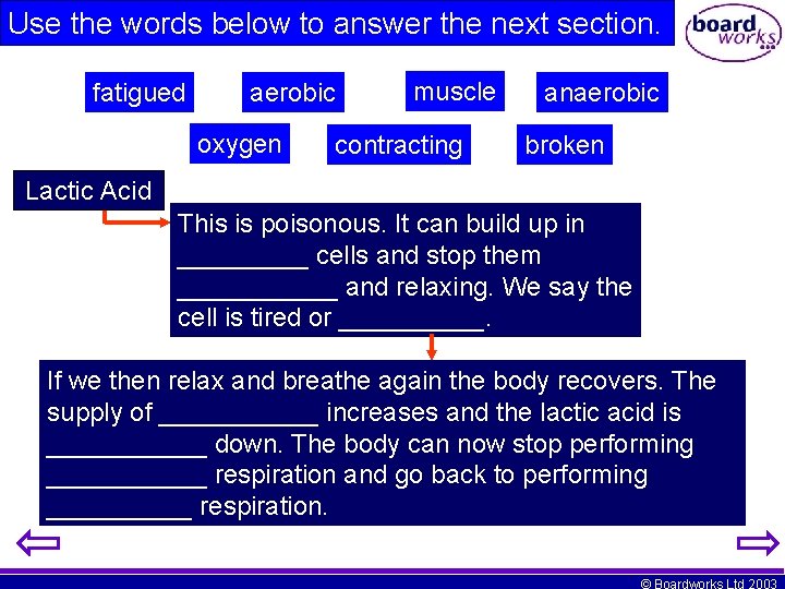 Use the words below to answer the next section. fatigued aerobic oxygen muscle contracting